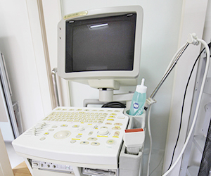 超音波エコー検査