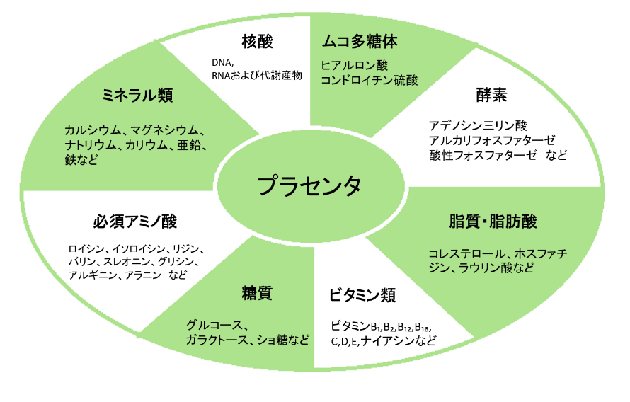 プラセンタの成分
